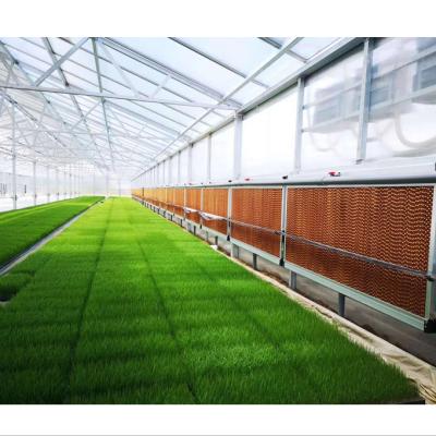 China Hot-dipped Galvanized Steel Agricultural Multi Span Complete Set Greenhouse / Design Single Span Plastic PCB Greenhouse for sale