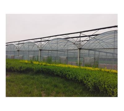 China Large Tunnel Plastic Steel Agricultural Sheet Greenhouse Hot-dipped Galvanized Plastic Sheet Commercial Greenhouse For Hemp Breeding for sale