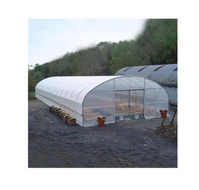 China Hot Sale Vegetable Single Tunnel Strawberry Flowers Green Fruit House For Vegetable Fruits/Flowers/Tomato/Lettuce/Cucumber/Peeper With Hydroponics/Irrigation/Aquapo for sale