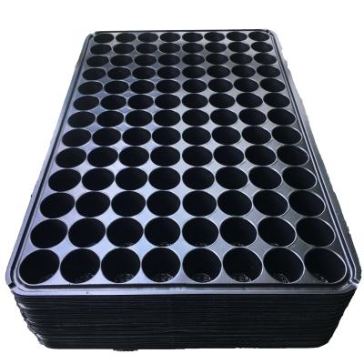 China 104 Hole Plastic Nursery Seedling Tray Seeding Seedling for sale