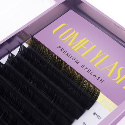 China Custom Logo Lash Extension Trays Eyelash Extension Long Comelylash Matte Black Volume Lash Trays Eyelash Extension Natural Cashmere Supplies for sale