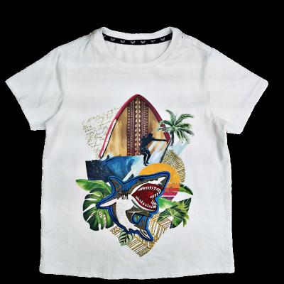 China Kids Compressed Boy Short Sleeve Cotton T Shirts With Embroidery And Screen Printing White T Shirt For Men And Kids for sale