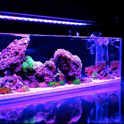 China Kundenspezifisches Aquarium-Acrylblätter Crystal Plexiglass Pmma Sheets der Farbe12mm zu verkaufen