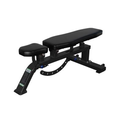 China Universal High Grade Gym Equipment Commercial Hot Selling Adjustable Muscle Exercise Dumbbell Bench for sale