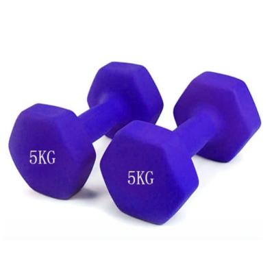 China Wholesale Unified Weight Dumbbell Gym Fitness Weight Training Home Use Bodybuilding Exercise Accessories for sale