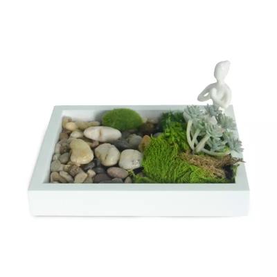 China Wholesale DIY Mini Desktop Zen Garden Europe New Design for Desktop Decoration for sale