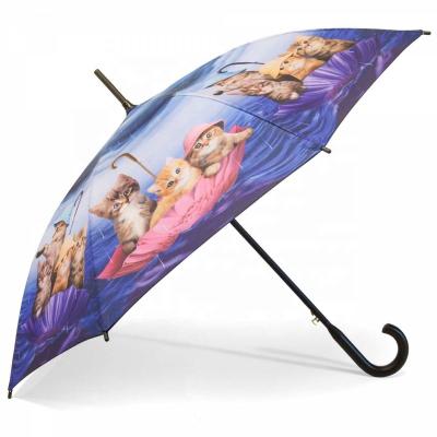 China All In 1 Customized New Designer Cute Cat Full Printing Metal Shaft Upright Umbrella For Outdoor for sale