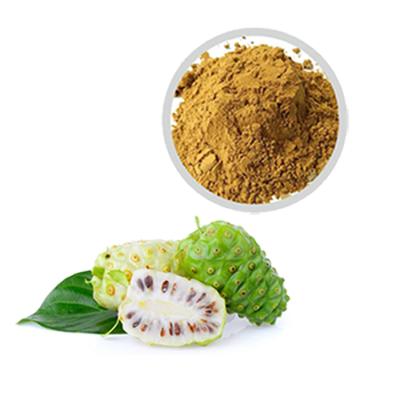 China Wholesale Noni Powder Fruit Food Suppliment Premium Quality Natural Noni Enzyme Juice Powder Extract Powder for sale