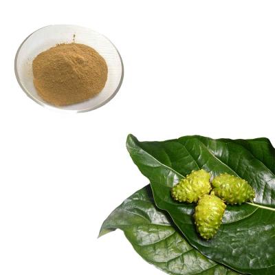 China Medicine Healthcare Products & Noni Fruit Extract Juice Powder fresh cosmetic Morinda Citrifolia Noni Powder for sale