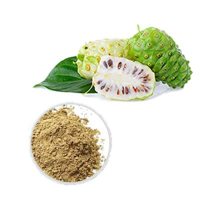 China Manufacturer Good Health Care Products Noni Fruit Powder Morinda Citrifolia Extract with Competitive Price for sale