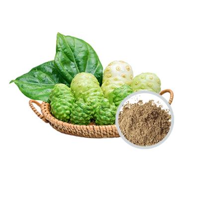 China Food Suppliment Best Quality Noni Dried Fruit Powder morinda citrifolia extract for Immunity Healthy Beauty for sale