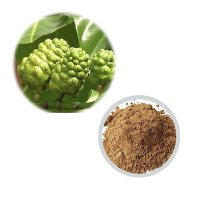 China Health Supplement Wholesale Noni Fruit Enzyme Juice Powder Morinda Citrifolia Extract Nutrition Supplement for sale