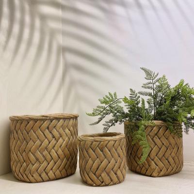 China Eco-Freindly Decorative Concrete Planter Pot Set Design 3 Round Cement Bamboo Weaving Flower Pot for sale