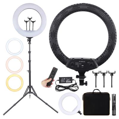 China 18 Inch Led Selfie Ring Fill Video Lights Live Professional Photography Beauty Audio Video Ring & Lighting Kit RL-480 for sale