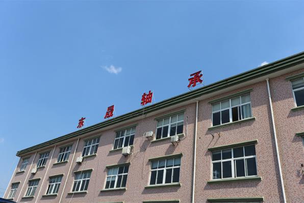 Verified China supplier - Ningbo Zhenhai Dongsheng Bearing Factory