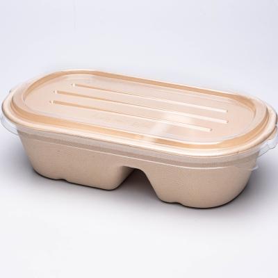 China Different Size 100% Disposable Compostable Biodegradable Take Away Bagasse Container-Two Grid 850ml for sale