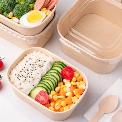 China 750ml Disposable Kraft Paper Rectangle Biodegradable 100% Compostable Bowl Take Away Bowls With Lid for sale