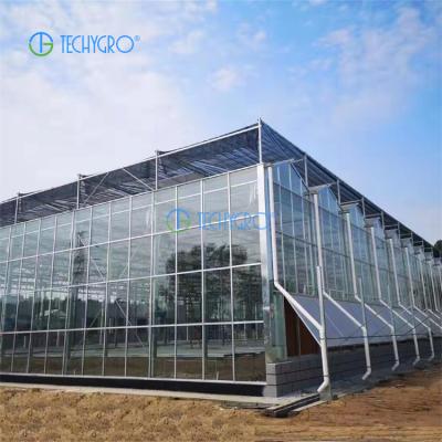 China Medicinal Plants Techygro GH-01 Glass Greenhouse Multi-span Agricultural Greenhouse for sale