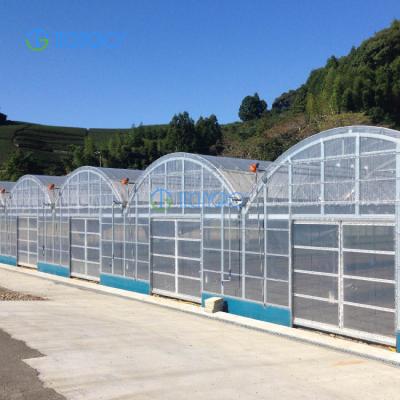 China Medicinal Plants Techygro GH-03 PE Film Greenhouse Multi-Span Agricultural Greenhouse for sale