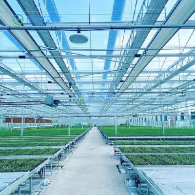 China Medicinal Plants Techygro GH-02 Smart Circuit Board Multi-Span Greenhouses With Large Vertical Farming System Greenhouses For Sale for sale