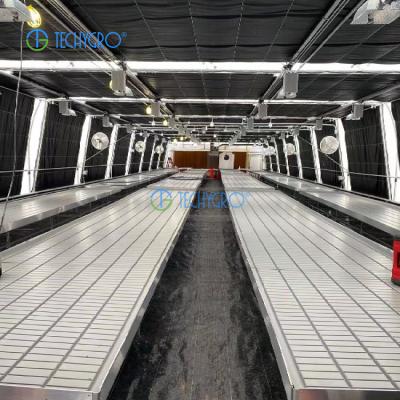 China Medicinal Plants Techygro GH-03B Plastic Sheet Greenhouse With Hydroponic Growing System for sale