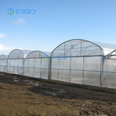 China Medicinal Plants Techygro GH-03 PE Film Greenhouse Multi-Span Agricultural Greenhouse for sale