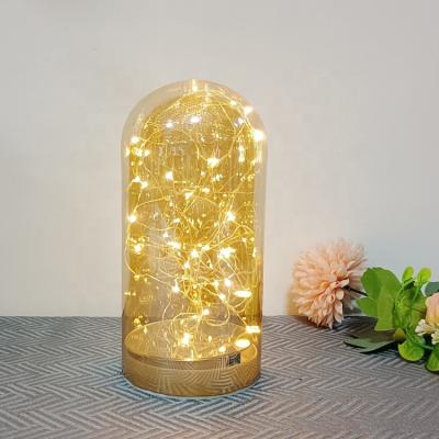 China In Novelty Design Glass Dome Lamp Dome Micro LED Lights With Fairy Sring Lights Table Christmas Indoor Decorative Lighting for sale