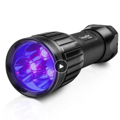 China Powerful ABS 365nm Blacklight UV Flashlight 3 LED Handheld Torch for Pet Spots, Scientific Study, Hunting for sale