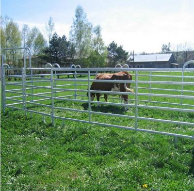 China Easily Assembled XM Horse Fence The Best Seller Galvanized Used In Racetrack Farm Use Widespread Metal Easy Installation for sale