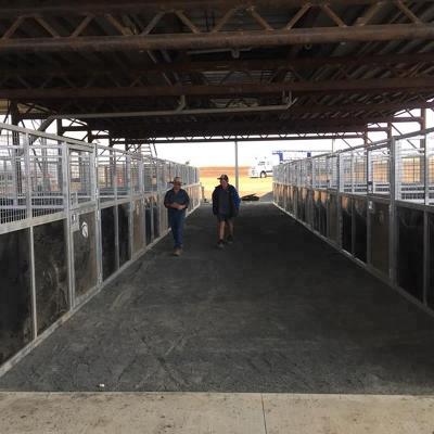 China Portable Mobile Galvanized Track China Factory Horse Building for sale