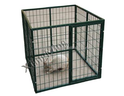 China Viable Outdoor Kennel Dog Kennel Pet Kennel Parrot Kennel for sale