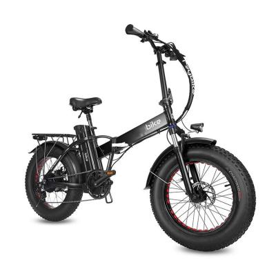 China Factory Directly Supply Foldable Cargo Aluminum Professional Snow Electric Bike for sale