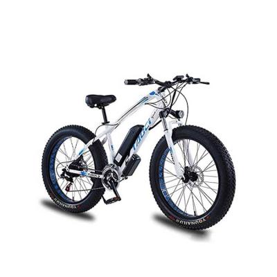 China Hot Selling High Quality Good Quality Mid Mountain Carbon Fiber Carbon Steel Electric Bike Drive for sale