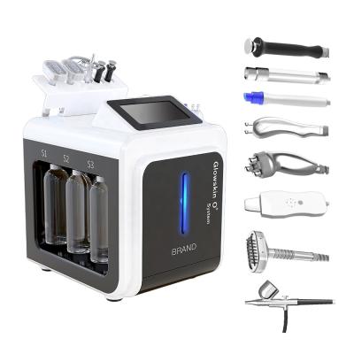 China Exfoliators CE Approved Portable 10 in 1 BIO Ultrasound Hydra Skin Diamond Microdermabrasion Machine for sale