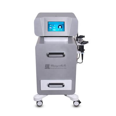 China Wrinkle Remover Diathermy Machine RF Skin Tightening Ret CET RF Tecar Therapy Weight Loss 448khz Machine Fat Physio for sale