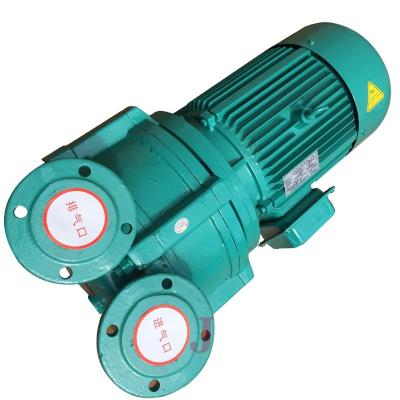 China Automotive Industry High Pressure Water Vacuum Pump For Plastic / Paper / Leathger Products for sale