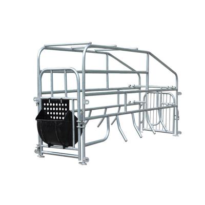 China Competitive price/long service life/factory directly supply competitive price stainless steel group housing equipment for pig farm for sale