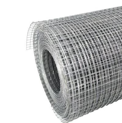 China Building Construction Hot Dipped Galvanized Welded Wire Mesh Bird Cage Welded Wire Mesh Roll for sale