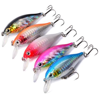 China 2022new Wholesale Plastic Sea Bass Saltwater Big Game Fishing Minnow Sinking Lure for sale