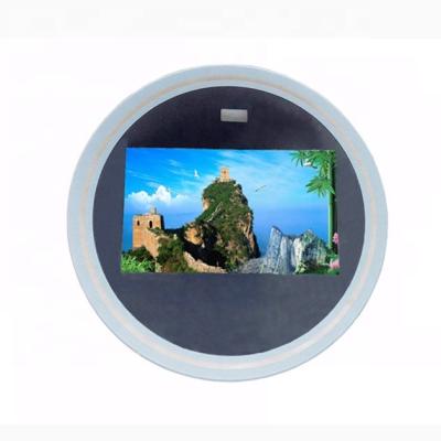 China Port Device 5 Inch Around IPS TFT Module Display Panel With 1080*1920 MIPI ST7796SI IC 6LED Full Viewing Angle 400 Nits for sale