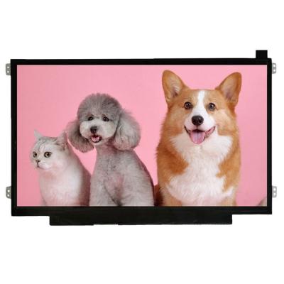 China 11.6 Inch 250 Inch Monitor Display Screen 1366*768 Brightness Replacement HP Indoor High Quality Laptop for sale