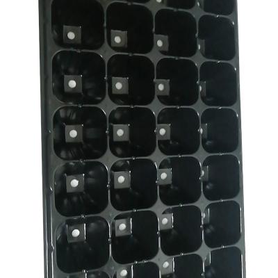 China 24 Eco-Friendly Forest Cells Tray 24 Holes Deep Seeds Tray Seedling Tray for sale