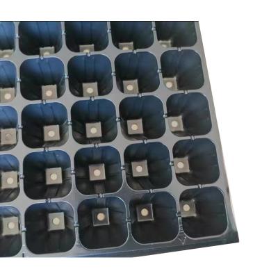 China 24 Seedlings Eco-friendly Plastic Seedling Tray 24 Deep Cell Seedling Tray for sale