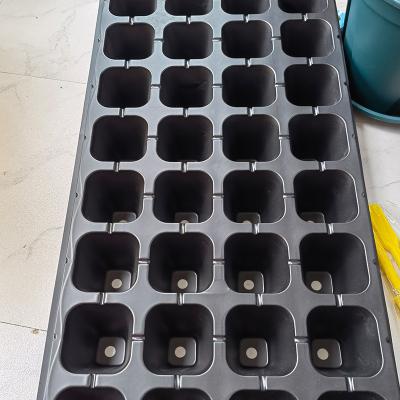 China Eco - Friendly 24 Cell Seeding Tray 24 Cell Seed Germination Trays Seedling Tray for sale