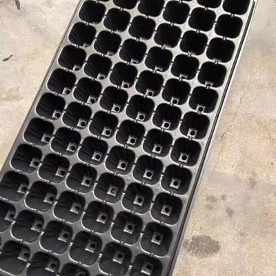 China Eco-friendly 24 Cells PS Propagation Nursery Seed Trays Planting 24 Tray Seeds Seedling Tray for sale