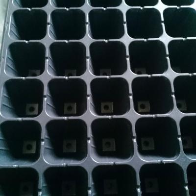 China 24 Cell Seed Tray 24 Cell Plant Seedling Trays Eco - Friendly Plastic Seedling Trays for sale