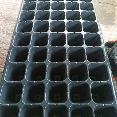 China Eco - Friendly 24 Cell Garden Germination Seed Starter Tray 21 Cell Seedling Tray for sale