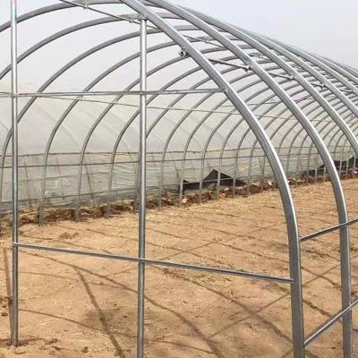 China Vegetable Hot Galvanized Agricultural Single Span PE/PO Single Film Steel Frame Flower Fruit Tunnel Plastic Greenhouse For Tomato Vegetable Growing for sale