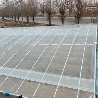 China Waterproof/High Tear Resistance/Plastic Agriculture Pe Greenhouse Moisture Proof Film Tunnel Professional Plant Growing Plastic Sheet For Greenhouse for sale