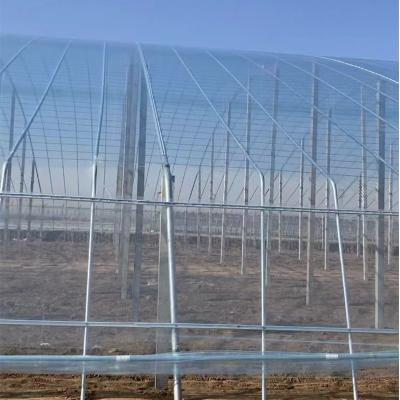 China Waterproof / High Tear Resistance / Manufacturer Greenhouse Polythene Plastic Film Moisture Proof Tarpaulin for sale